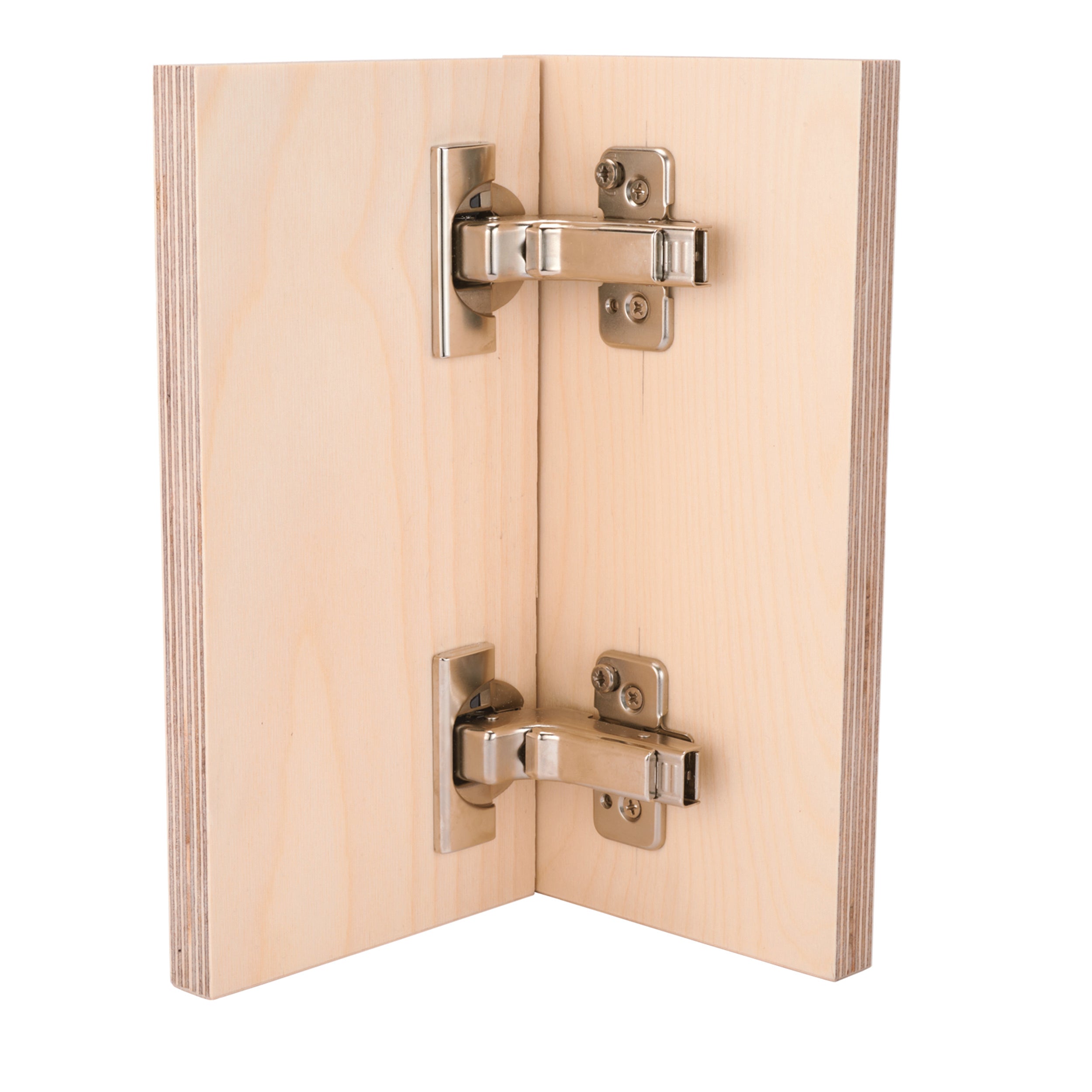 Clip Top Frameless Hinges - Inset Overlay - 110 Degree with BLUMOTION - 1 Pair