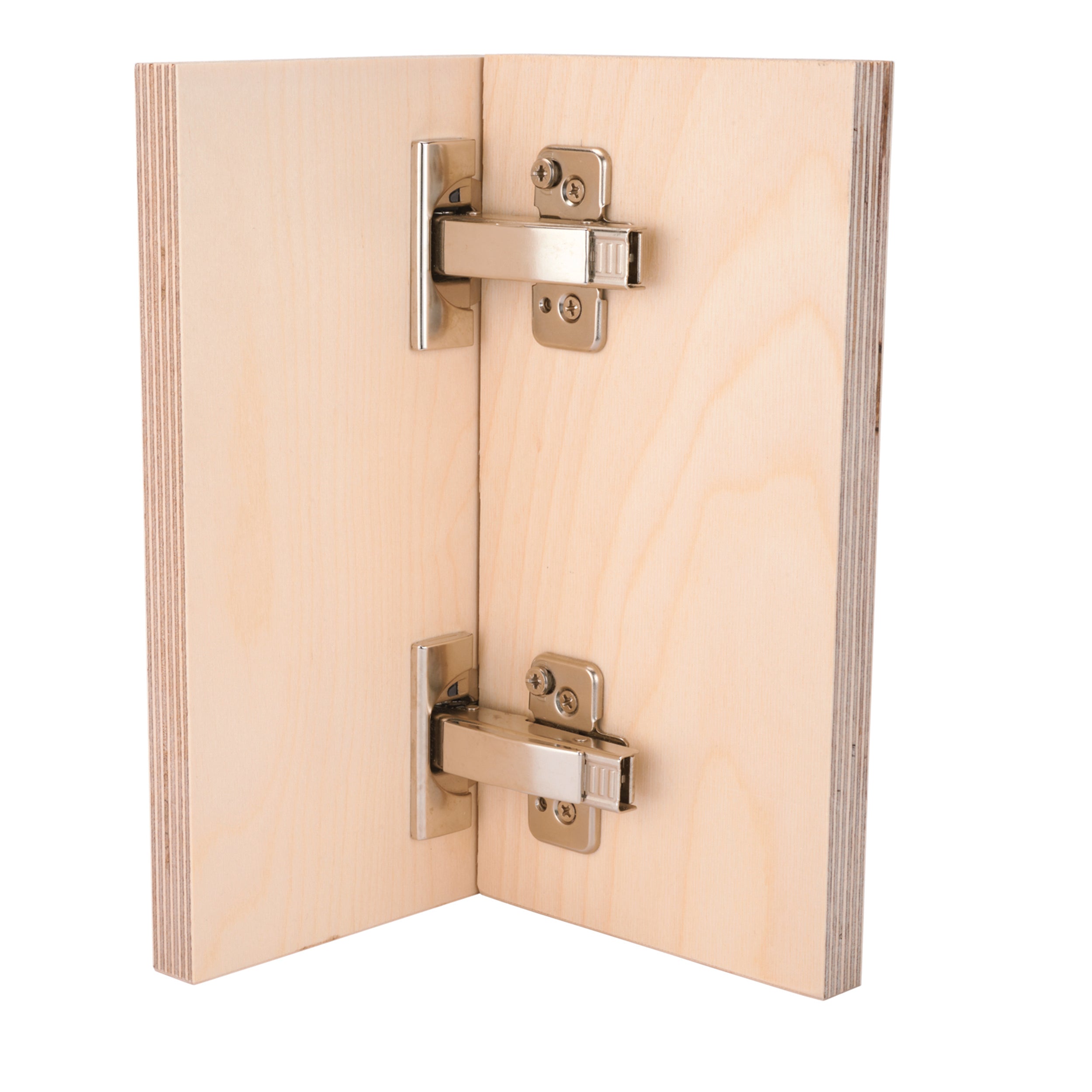 Clip Top Hinges for Frameless Cabinets - Full Overlay - 110 Degree with BLUMOTION - 1 Pair