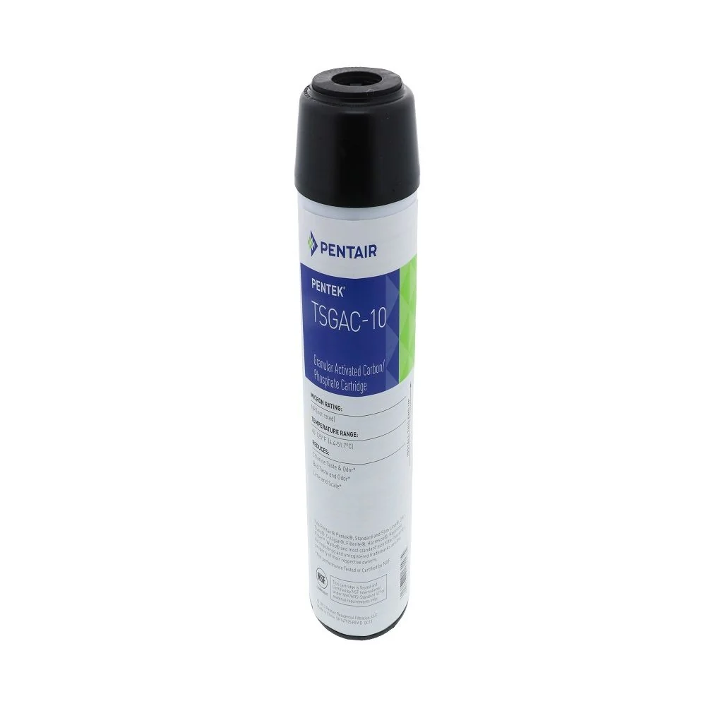 Pentek 155131-43 TSGAC-10/CGT-10S Combination Carbon/Phosphate Filter (CGT-20) — 12 Pack