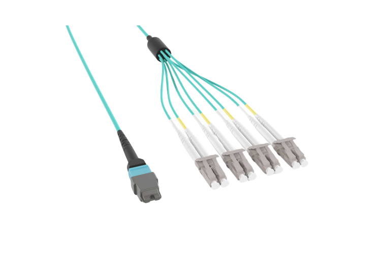 MTP® Female to 4x LC Duplex OM4 Multimode 8-Fiber Breakout Cable, Type B, OFNP, 3m