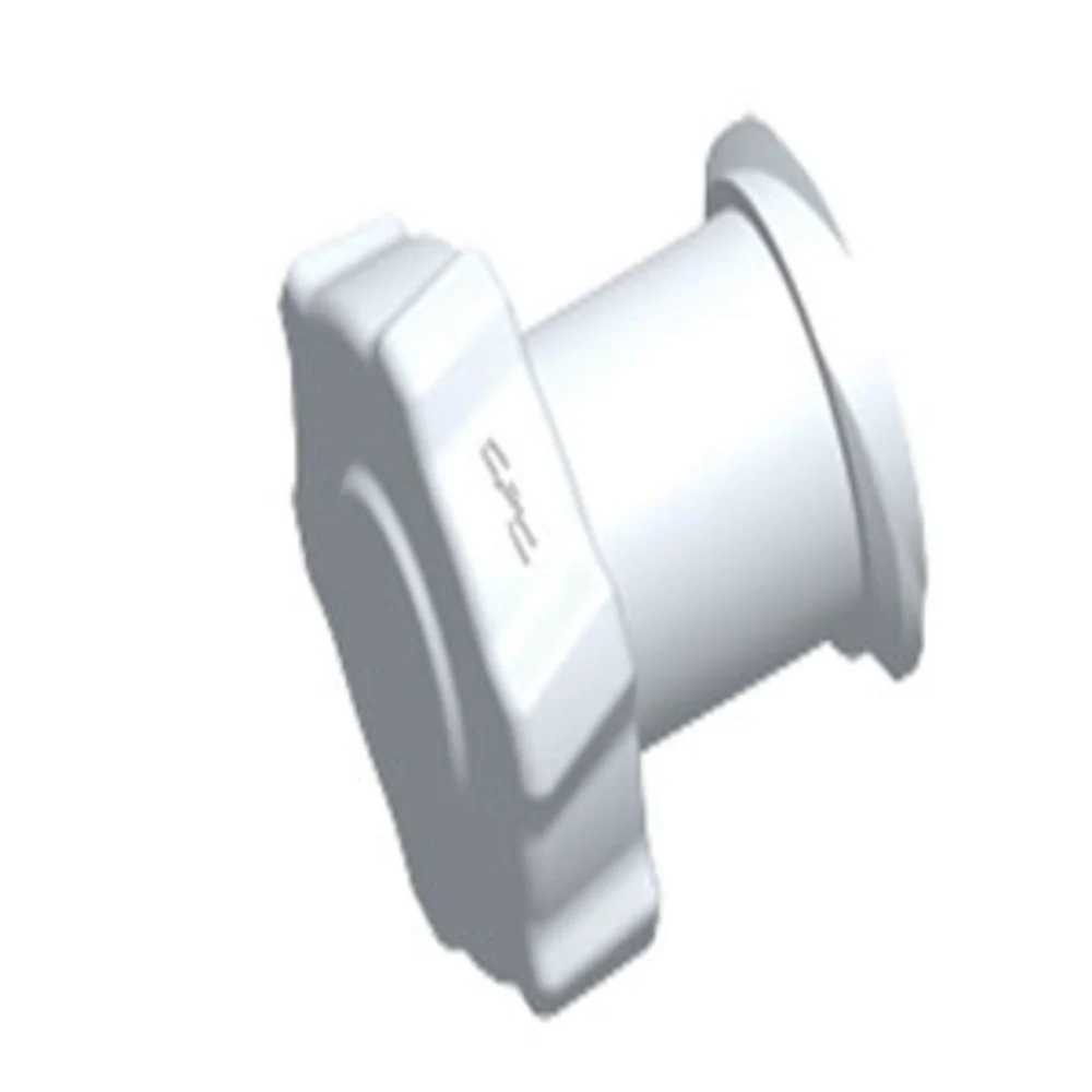 LCAP70 Luer Fitting Natural PVDF Luer Cap — Bag of 100