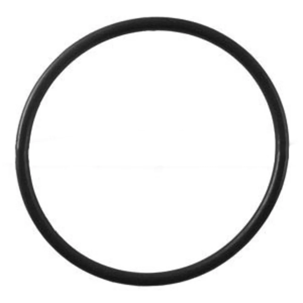 Pentek 151120 Buna-N O-Ring for 3/4" FPT Standard Housings — Pack of 100