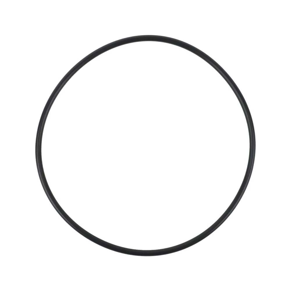 O-Ring for Pentek #10 & #20 Big Blue Housings — Bag of 10