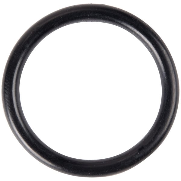 AllPoints 321299 1" Discharge Tube O-Ring