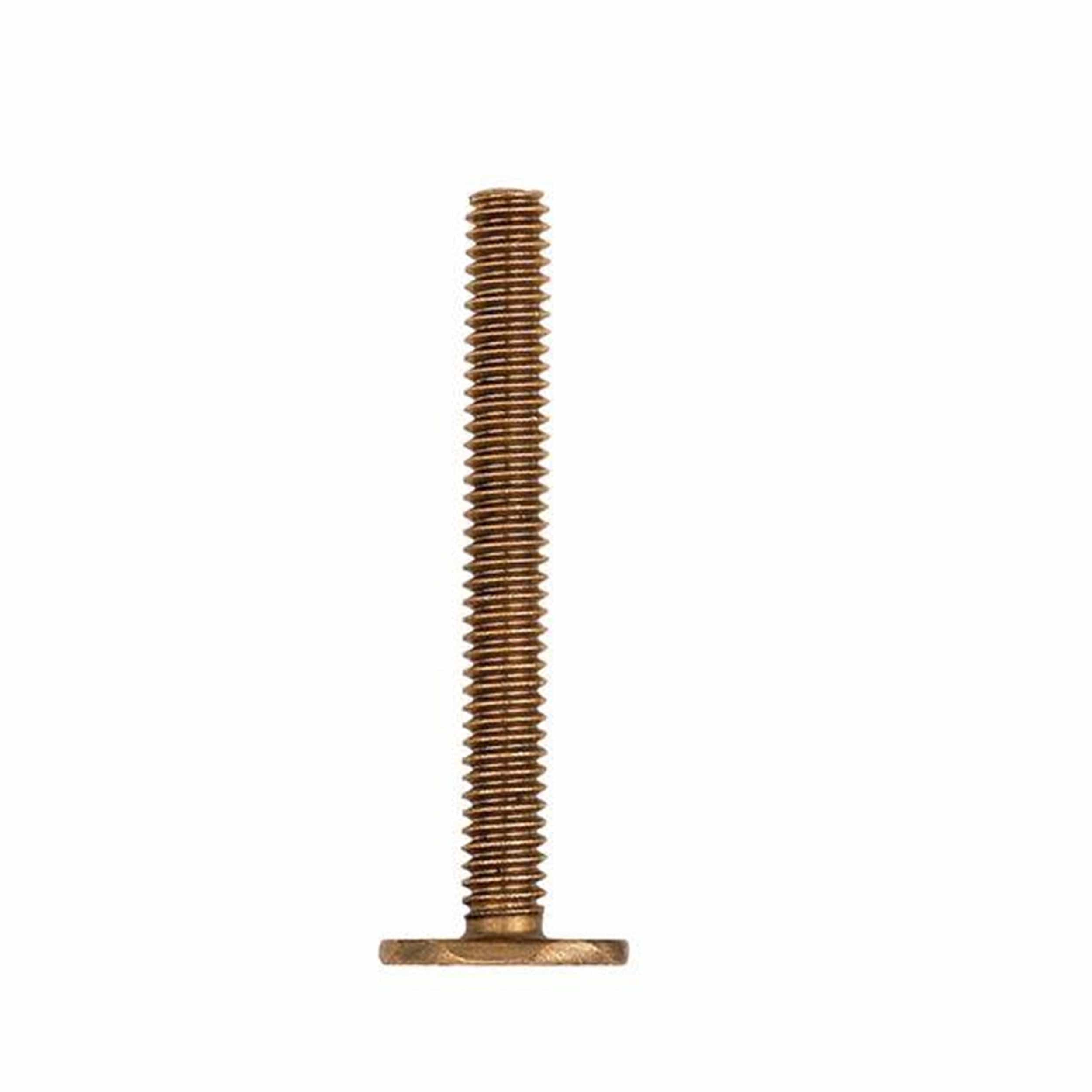 T-Bolts - 10 Pack — 1/4"-20 TPI / 1-3/4"